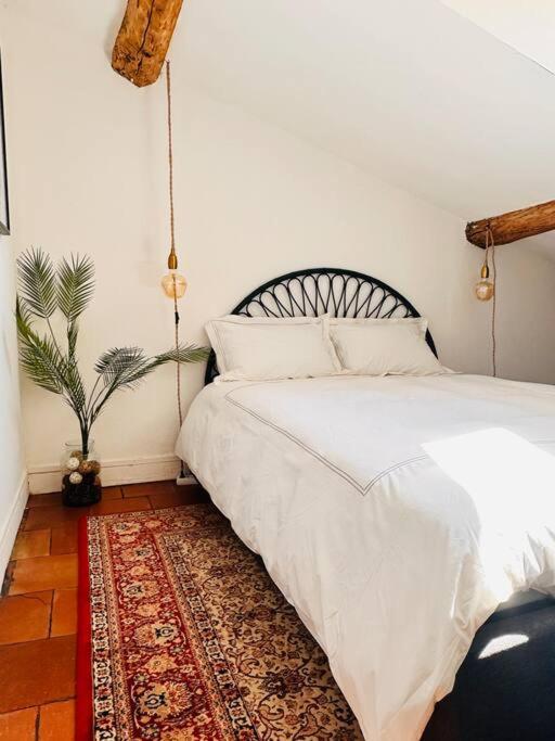 Your Getaway Home In Toulouse Center 外观 照片